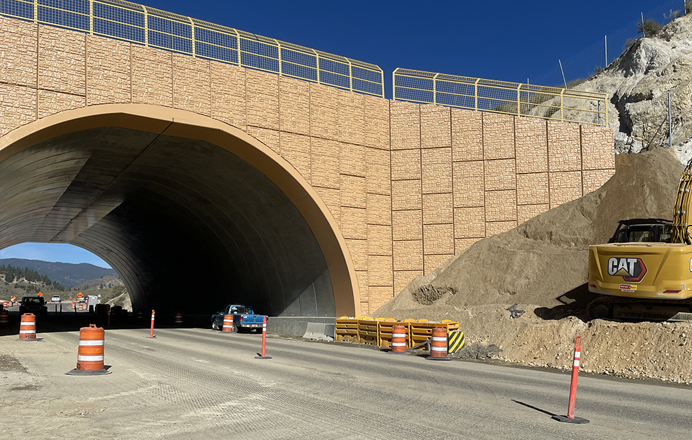 SH-21 Cervidae Wildlife Overpass