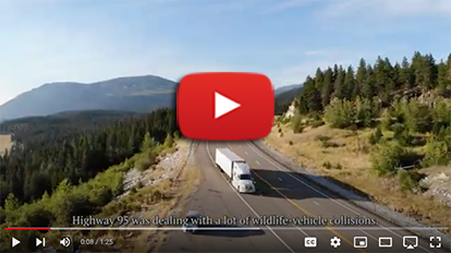 US-95 Copeland underpasses provide wildlife crossings under roadway